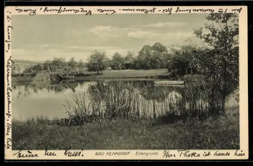 AK Bad Nenndorf, Erlengrund, Teich mit Brücke und Boot, Pavillon
