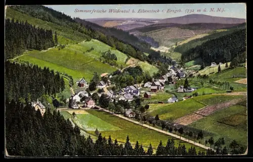 AK Wildental b. Eibenstock, Gesamtansicht, Tal