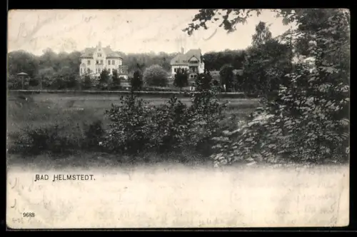 AK Bad Helmstedt, Zwei Villen mit Umgebung