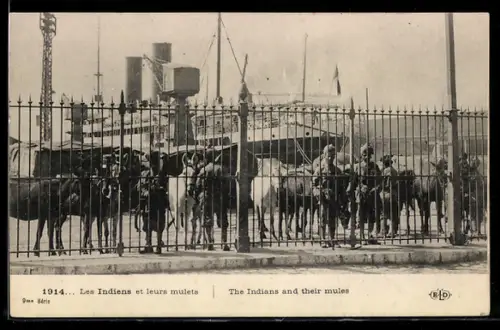 AK India, The Indians and their mules, troop ship