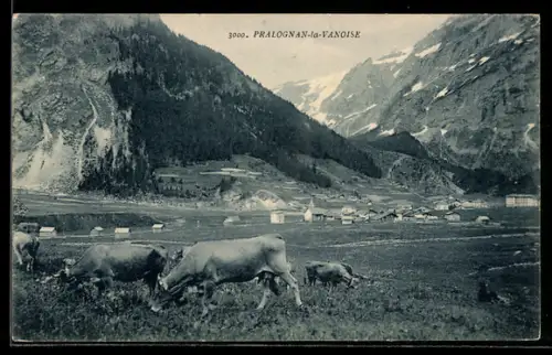 AK Pralognan-la-Vanoise, Vue Panoramique