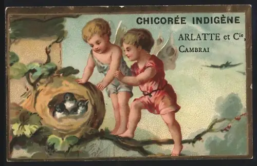 Sammelbild Cambrai, Arlatte & Cie., Chicorée, Engel finden ein Vogelnest
