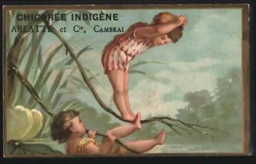 Sammelbild Cambrai, Arlatte & Cie., Chicorée, Kinder springen von einem Zweig ins Wasser