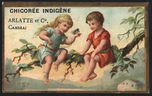 Sammelbild Cambrai, Arlatte & Cie., Chicorée, Kinder sitzen mit einem Insekt auf einem Ast