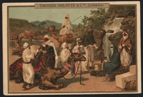 Sammelbild Cambrai, Arlatte & Cie., Chicorée, Menschen mit Dromedaren