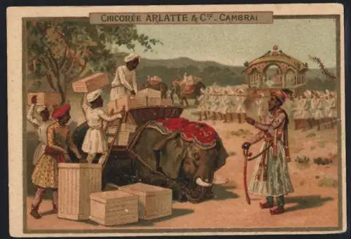 Sammelbild Cambrai, Arlatte & Cie., Chicorée, Menschen reiten auf einem Elefanten