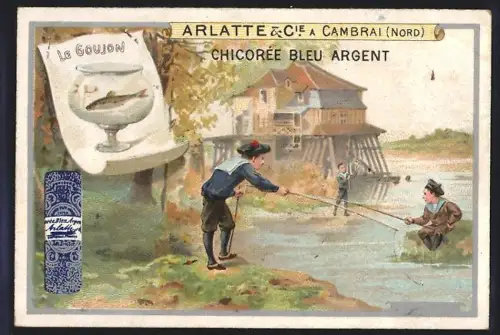 Sammelbild Cambrai, Chicoree Arlatte, Knaben beim Angeln am Flussufer
