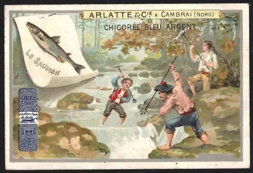Sammelbild Cambrai, Chicoree Arlatte, Burschen fangen Lachs mit dem Speer