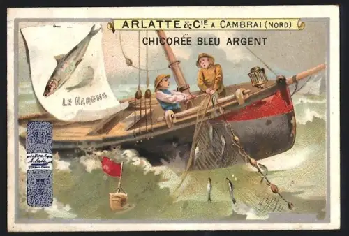 Sammelbild Cambrai, Chicoree Arlatte, Fischer holen Netz mit Heringen ein