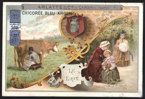 Sammelbild Cambrai, Chicoree Arlatte, Erzeugung und Verzehr von Milch