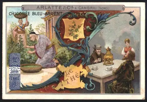 Sammelbild Cambrai, Chicoree Arlatte, Ernte von Tee & Tee Zeremonie