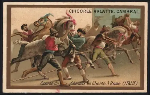 Sammelbild Cambrai, Chicoree Arlatte, Römer bändigen Rennpferde