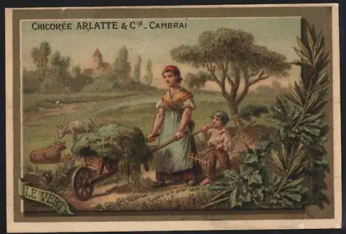 Sammelbild Cambrai, Chicoree Arlatte, Bäuerin und Sohn mit Schubkarre bei der Feldarbeit