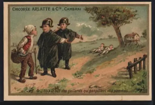 Sammelbild Cambrai, Chicoree Arlatte, Soldaten beschweren sich über faule Kameraden