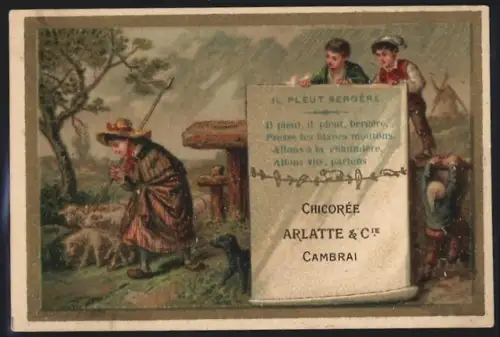 Sammelbild Cambrai, Chicoree Arlatte, Knaben beobachten Schäferin mit Schafherde