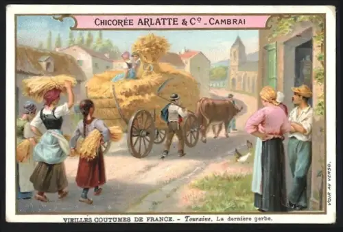Sammelbild Cambrai, Chicoree Arlatte, Touraine, Bauern mit Ochsenkarren haben die Ernte eingeholt