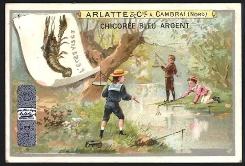 Sammelbild Cambrai, Chicoree Arlatte, Kinder versuchen Flusskrebse zu fangen