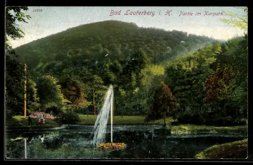 AK Bad Lauterberg i. H., Partie im Kurpark