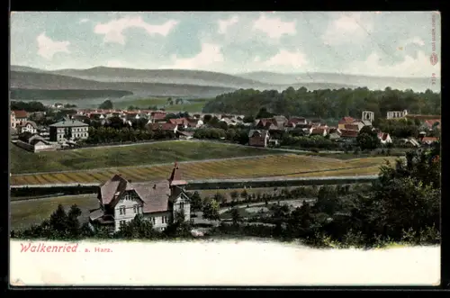 AK Walkenried a. Harz, Ortsansicht mit Feldfluren