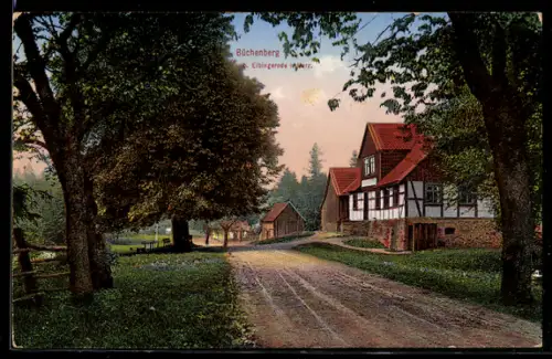 AK Büchenberg /Elbingerode, Dorfstrasse, Fachwerkhaus