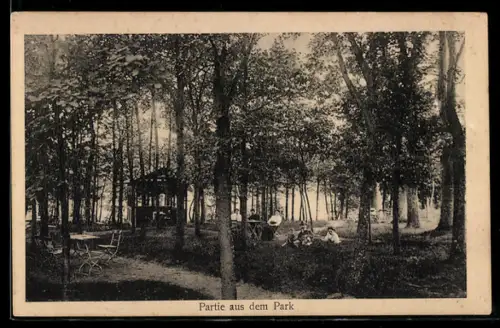 AK Müden /Celle, Partie aus dem Park, Gasthof zum Oertzetal, Inh. August Wessel