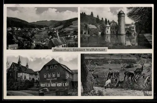 AK Hessenthal i. Spessart, Gasthaus-Pension z. gold. Fass F. Rosenberger, Wildgehege, Ortsansicht