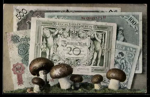 AK Geldscheine mit Moos u. Steinpilzen