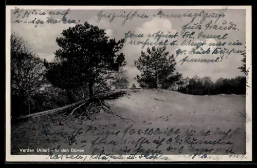AK Verden /Aller, In den Dünen