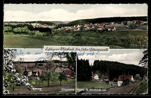 AK Würzbach /Calw, Ortsansicht, Mühle im Würzbach-Tal, Ortspartie