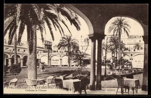 AK Cannes, Galleries in Flowers