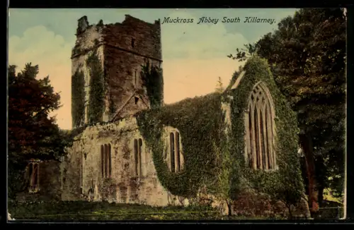 AK Killarney, Muckross Abbey