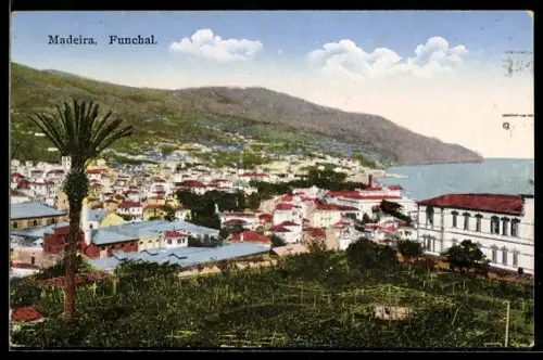 AK Funchal /Madeira, Panorama