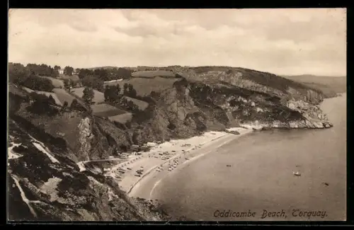 AK Torquay, Oddicombe Beach, panoramic view of the beach
