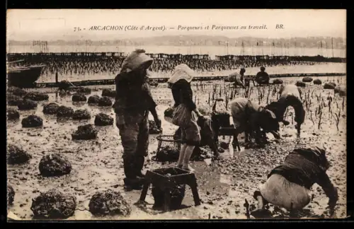 AK Arcachon /Côte d`Argent, Parqueurs et Parqueuses au travail