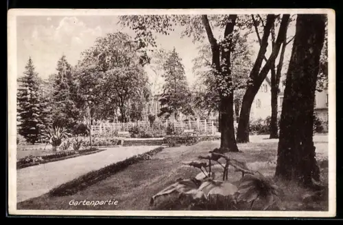 AK Heilbronn a. N., Gasthof Harmonie, Gartenpartie