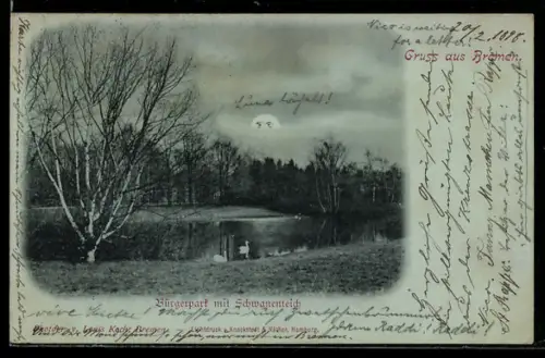 Mondschein-AK Bremen, Bürgerpark mit Schwanenteich