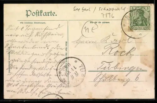 AK Ruhstein /Schwarzwald, Ruhsteinwächter Professor Dr. Euting