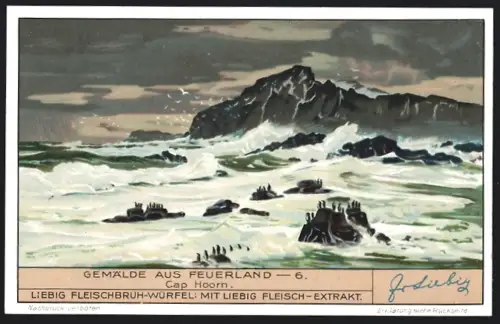 6 Sammelbilder Liebig, Serie Nr. 1324: Gemälde aus Feuerland, Sumpfwald, Magellanstrasse, Fjord Agostini, M. Sarmiento