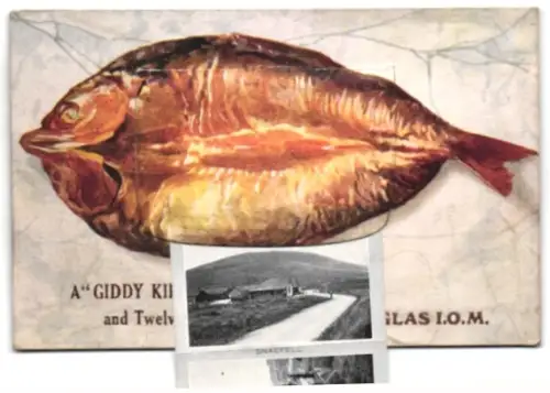 Leporello-AK Douglas /i.o.M., Castle Rushen, Port Soderick, Port St. Mary Harbour