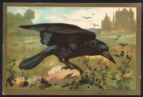 Sammelbild Cambrai, Arlatte & Co Chicorée Bleu-Argent, Corbeau