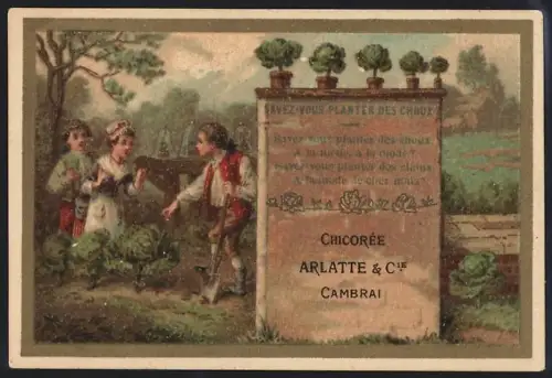 Sammelbild Cambrai, Arlatte & Cie Chicorée Bleu-Argent, Savez-Vous Planter des Choux?