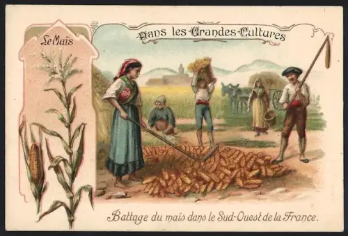 Sammelbild Cambrai, Arlatte & Co Chicorée Bleu-Argent, Le Mais