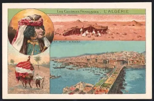 Sammelbild Cambrai, Arlatte & Co Chicorée Bleu-Argent, Les Colonies Francaises, L`Algerie
