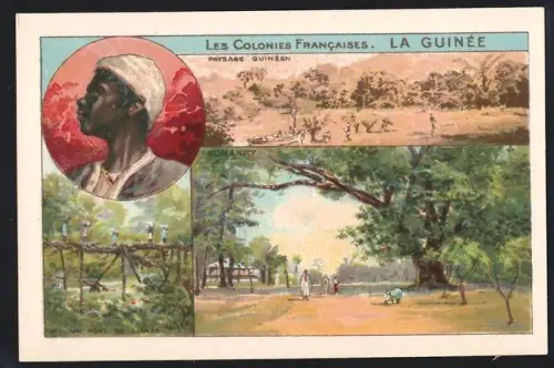 Sammelbild Cambrai, Arlatte & Co Chicorée Bleu-Argent, Les Colonies Francaises, La Guinée