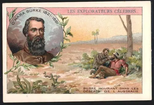 Sammelbild Cambrai, Arlatte & Co Chicorée Bleu-Argent, Explorateur O`Hara Burke