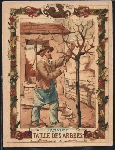 Sammelbild Cambrai, Arlatte & Cie., La Chicorée Bleu-Argent, Taille des Arbres