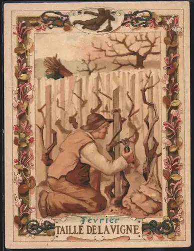 Sammelbild Cambrai, Arlatte & Cie., La Chicorée Bleu-Argent, Taille de Lavigne