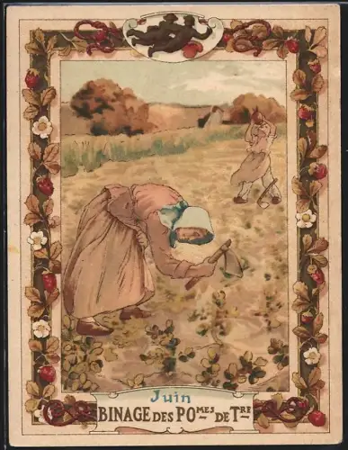 Sammelbild Cambrai, Arlatte & Cie., La Chicorée Bleu-Argent, Binage des Pomes de Tre