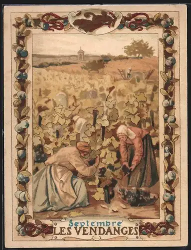 Sammelbild Cambrai, Arlatte & Cie., La Chicorée Bleu-Argent, Les Vendanges