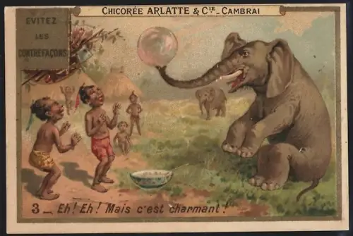 Sammelbild Cambrai, Arlatte & Cie., Chicorée Bleu-Argent, Mais cèst charmant !